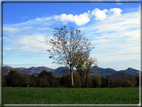 foto Colli Asolani in Autunno